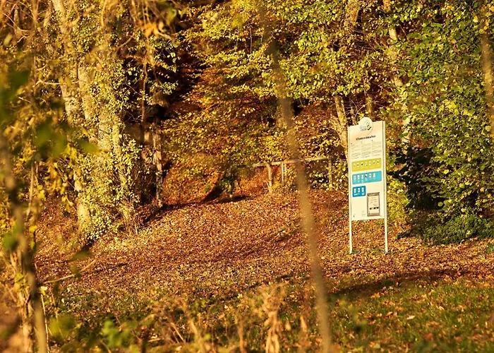 Eifelblockhaus 別荘 *